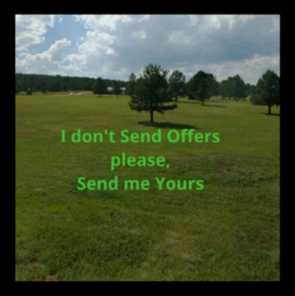 Woven Lidded Basket 10"d x 4"h - Picture 10 of 10